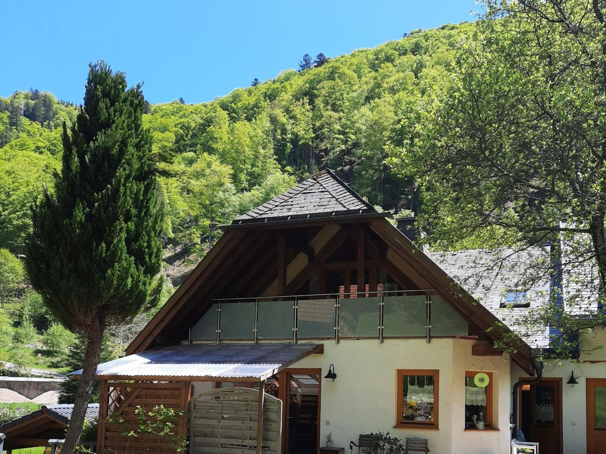 Ferienwohnung Schwarzwaldfeder Todtnau Exteriér fotografie