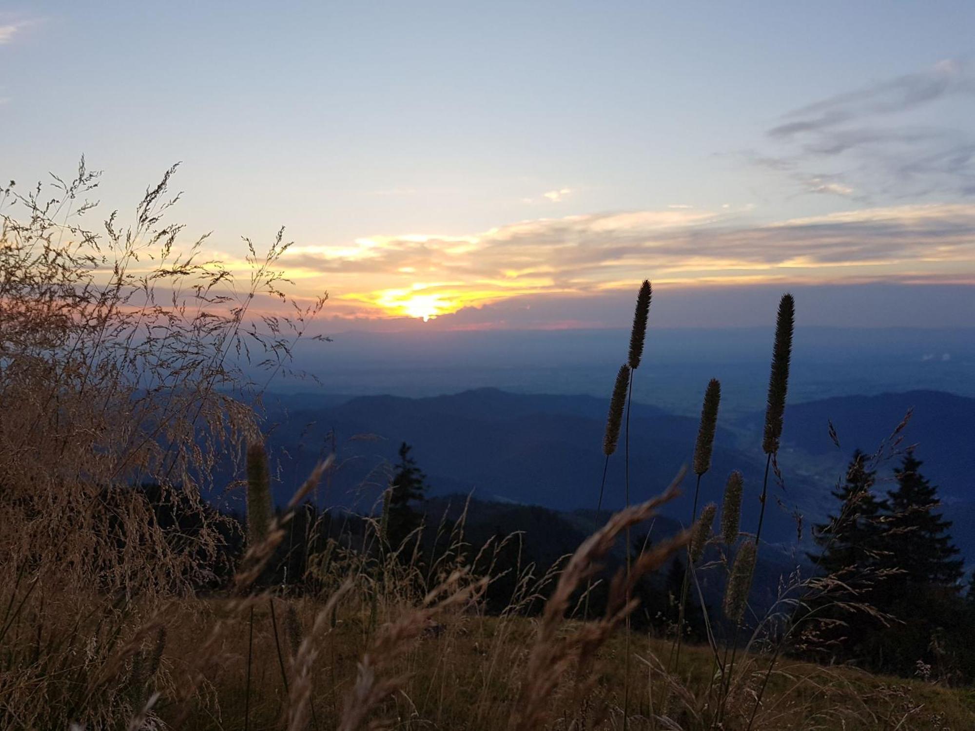 Ferienwohnung Schwarzwaldfeder Todtnau Exteriér fotografie
